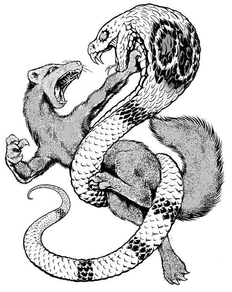 mongoose / cobra possibility Mongoose Tattoo, Honey Badger Tattoo, Badger Tattoo, Snake And Mongoose, Gas Mask Tattoo, Cobra Tattoo, Christian Drawings, Tier Tattoo, Snake Drawing