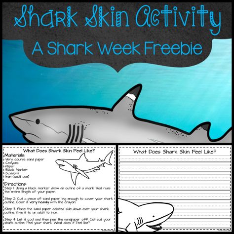 Wildlife Projects, Worksheets High School, Homeschool Themes, Ocean Lesson Plans, Shark Activities, Shark Week Party, High School Pictures, Shark Craft, Summer Homeschool