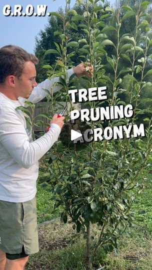 Tree Pruning Tips, Earth Nails, Fruit Tree Pruning, Small Fruit Trees, Pruning Trees, Fruit Trees Backyard, Pruning Shrubs, Pruning Plants, Planting Fruit Trees