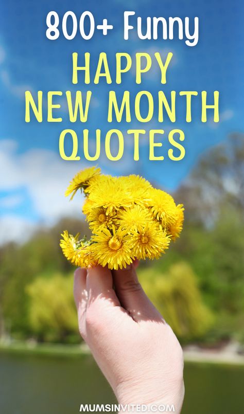 Ring in each new month with motivational First Day of The Month quotes, messages, & aesthetic captions to find clarity and uplifting perspective! Featuring inspirational New Month quotes for January, February, March, April, May, June, July, August, September, October, November December. These Happy New Month quotes blend funny new month sayings with aesthetic New Month Instagram captions perfect for your birthday month. Happy New Month. 1st of the month quotes. Beginning of the week quotes. Beginning Of The Week Quotes, 1st Of The Month Quotes, Study Quotes Student, Quotes For January, Quotes Beginning, Quotes To Live By Short, Hello July Quotes, New Month Messages, Hello March Quotes