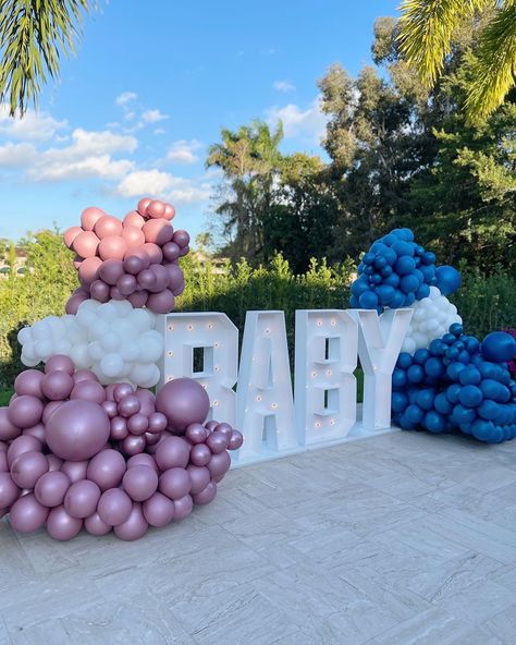 Gender Reveal Balloons Arch, Gender Reveal Yard Decorations, Marquee Letters Gender Reveal, Gender Reveal Entrance Decor, Gender Reveal Marquee Letters, Gender Reveal Ideas Pink And Blue, Pastel Pink And Blue Gender Reveal Decorations, Outdoor Backdrops, Gender Reveal Unique