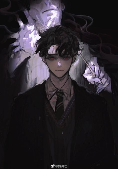 Dark Harry, Harry Potter Artwork, Potter Art, Harry Potter Drawings, Lord Voldemort, Japon Illustration, Harry Potter Anime, Harry Potter Fan Art, Harry Potter Art