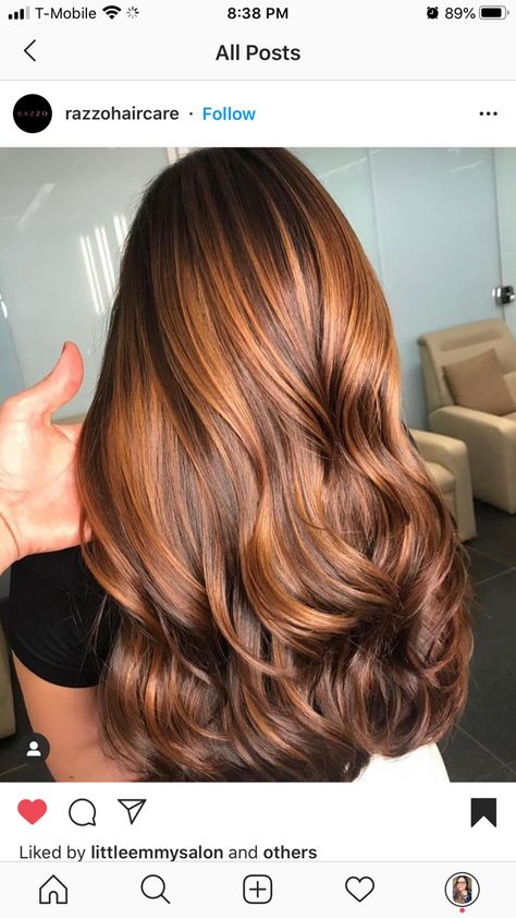 Caramel And Ginger Hair, Caramel Balayage On Auburn Hair, Long Brown Hair With Copper Highlights, Cooper Lowlights On Brown Hair, Ginger Brunette Hair Highlights, Strawberry Blonde And Brown Hair, Cooper Brown Balayage, Women's Professional Hairstyles, Burnett Hair Color Ideas 2023