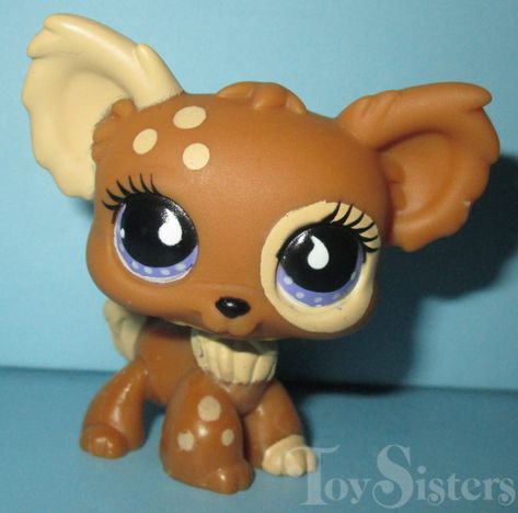 Long Hair Cat, Lps Popular, Custom Lps, Lps Toys, Lps Pets, Little Pet Shop Toys, Lps Littlest Pet Shop, Long Haired Cats, Chihuahua Dog