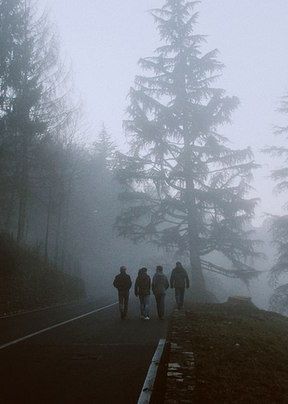 Counselor Aesthetic, Abandoned Highway, Pink In The Night, Dystopian Aesthetic, Apocalypse Aesthetic, Dystopian Books, Arte Alien, Stranger Things Kids, Camp Counselor