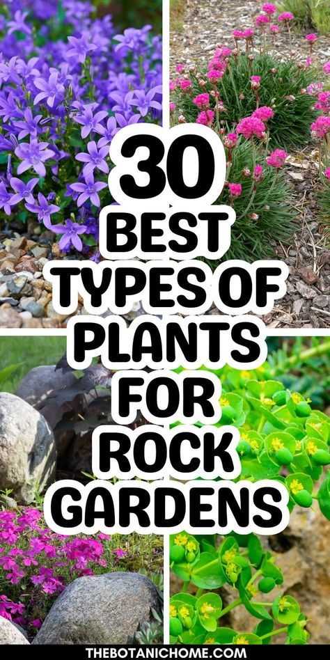 Best plants for a low maintenance rock garden landscaping featuring diy rock garden ideas, river rock garden features, and a stunning rock yard design. River Rock Landscaping Around Pool, Stone Landscaping Ideas Flower Beds, Oklahoma Flower Beds Landscape Design, Plants For Rock Garden Landscaping, Rock Gardens With Plants, Decorative Rock Landscaping, Perennial Garden Ideas, Small Rock Garden Ideas, Landscape With Rocks