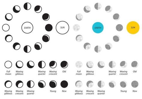 Free Solar Eclipse Phases 156693 Vector Art at Vecteezy Solar Eclipse Phases, Sun Phases, Class Room, Solar Eclipse, Free Clip Art, Moon Phases, Art Sketchbook, Vector Art, Solar