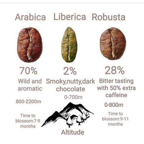 Coffee Chart, Arabica Robusta, Coffee Process, Coffee Infographic, Coffee With Alcohol, World Atlas, Coffee Guide, Coffee Facts, Coffee World