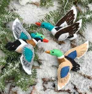 Moose Applique, Duck Ornaments, Wood Duck, Dmc Embroidery, Wood Ducks, Felt Craft, Dmc Embroidery Floss, Wild Beauty, Felt Birds