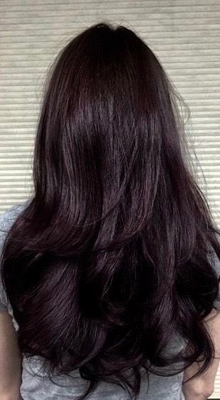 Plum Dark Hair, Brunette With Cherry Highlights, Dark Cherry Black Hair, Cool Toned Chocolate Brown Hair, Cherry Highlights On Dark Hair, Purple Brunette Hair, Black Hair With Red Undertones, Black Cherry Hair Color Dark, Plum Brown Hair Color