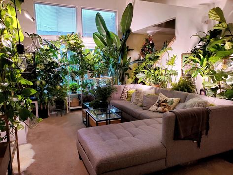 Flower Living Room, Living Room, Home Decor, Home Décor