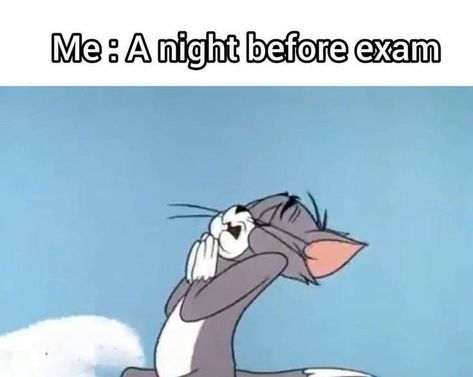 Night Before Exam, Exam Memes, Funny College Memes, Love You Memes, Exams Memes, Relatable Quote, Last Exam, Love You Meme, Exams Funny