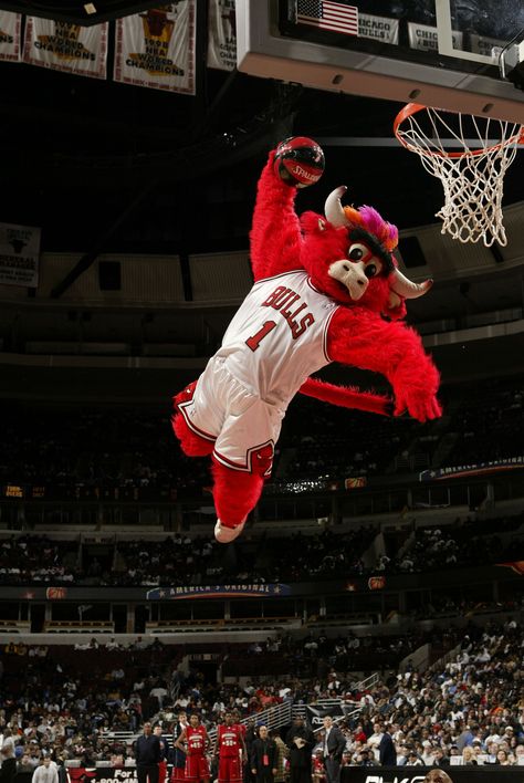 Chicago Bulls Wallpapers, Chigago Bulls, Benny The Bull, Bulls Wallpaper, Nba Bulls, Michael Jordan Basketball, Nba Mvp, Chicago Sports, Nba Chicago Bulls