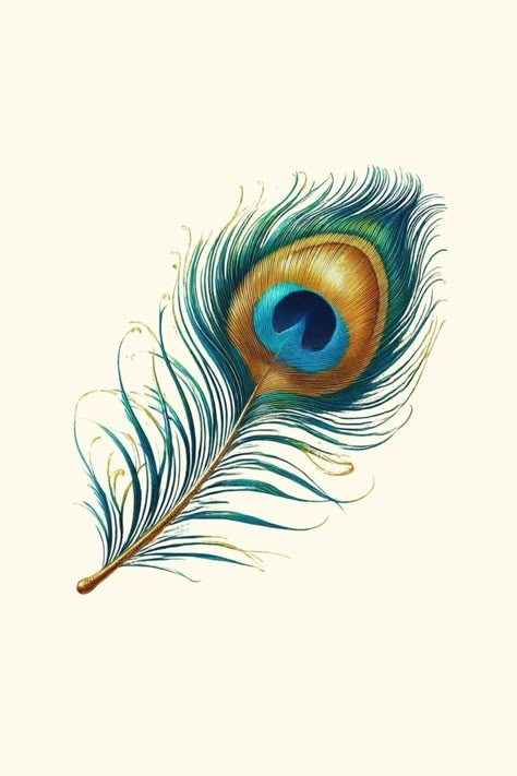 Peacock Feather Images, Kanha Images, Peacock Feather Tattoo Meaning, Rohit Tattoo, Krishna Png, Feather Art Drawing, Peacock Feather Drawing, L Tattoos, Feather Tat