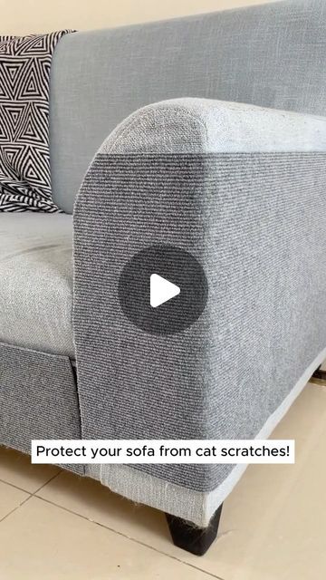 Pet Products on Instagram: "Protect your sofa from cat scratches. •
•
•
•
•
•
#catphoto #cats_of_instagram #catloversday #cats_of_ig #catslover #catfanclub #catsofinsta #catofthedays #catsarethebest #catsofinstagram #catpicoftheday #catsofworld #kittensofinstagram #kittyoftheday #kittenoftheday #sofa #kittens_today #meowdel_feature #meow_beauties #cats #cat #animals #instacats #instapet #couch #petsofinstagram #catstagram #furniture #petshop #petbusiness" Pet Businesses, Lovers Day, Utila, Cat Scratching, Pet Products, Cat Photo, Pet Shop, Cats Of Instagram, Kittens