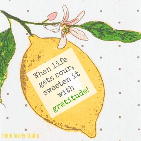 Inspirational quote about lemons on Hello Lovely Studio: When life gets sour, sweeten it with gratitude. Lemons Quotes Happiness, Lemons Quotes, Lemon Quotes, Lettered Quotes, True Lemon, Making Limoncello, Ladies Event, Travel Clipart, Frozen Lemon