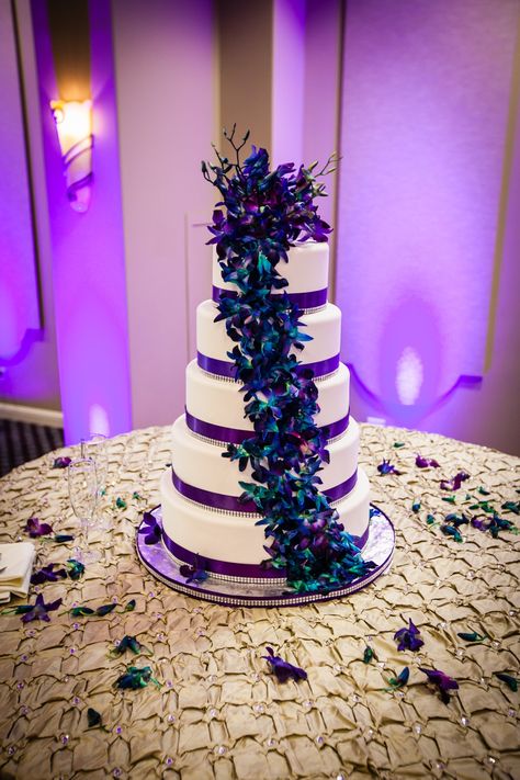 purple and teal wedding cake with orchids Bakery: Le Duc Gourmet Bakery   Photo Credit: Khloe Madison Photography Cake With Orchids, Purple Teal Wedding, Turquoise Wedding Decorations, Purple Turquoise Wedding, Teal Wedding Cake, Peacock Wedding Cake, Purple Wedding Cakes, Orchid Wedding, Peacock Wedding