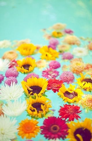 Floating Flowers In Pool, Flowers In Pool, Floating Pool Flowers, Backyard Wedding Pool, Floating Pool Decorations, Pool Wedding Decorations, Pool Aesthetic, Light Spring Colors, Pool Wedding