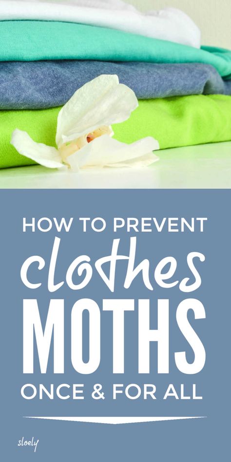 Moths In Closet, Baby Moth, Getting Rid Of Moths, Get Rid Of Clothes, Natural Clothes, Pantry Moths, Deep Cleaning House, Moth Repellent, Small Moths