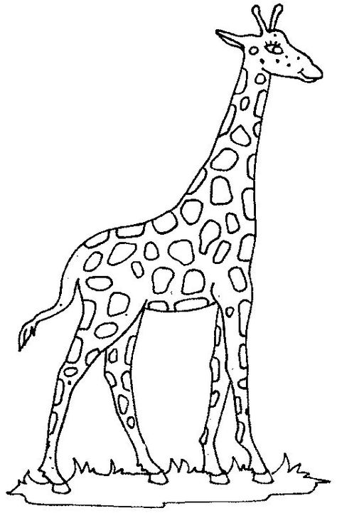 coloring pages giraffe - Cute Giraffe Coloring Pages Giraffe Images, Giraffe Coloring Pages, Giraffe Colors, Giraffe Drawing, Giraffe Pictures, Animal Printables, Cartoon Giraffe, Cute Giraffe, Clipart Black And White