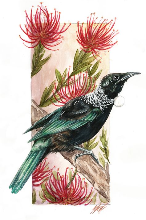 Tui Tattoo New Zealand, Pohutukawa Drawing, Pohutukawa Tree Drawing, Pohutukawa Tattoo, Pohutukawa Art, Kiwi Tattoo New Zealand, Pohutukawa Tattoo New Zealand, Kiwi Christmas, Blackbird Art