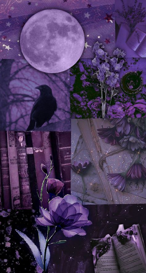 #purple #fall #halloween #flowers #moon Aesthetic Galaxy, Purple Vibe, Raven Queen, Halloween Flowers, Fantasy Aesthetic, Purple Aesthetic, Galaxy Wallpaper, Fall Halloween, Moon