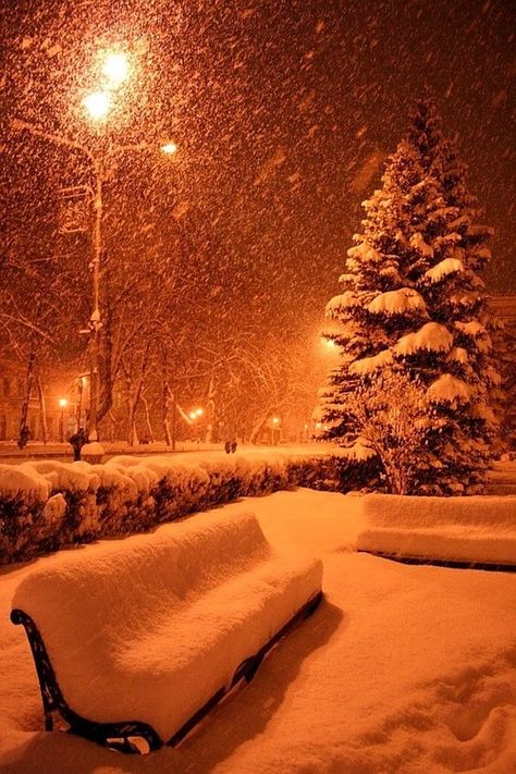 Heavy Snow falling winter snow christmas merry christmas christmas pictures christmas ideas happy holidays merry xmas Snow At Night, Cer Nocturn, Winters Tafereel, Winter Schnee, Winter Szenen, Street Lights, Winter Love, Winter Magic, Winter Scenery