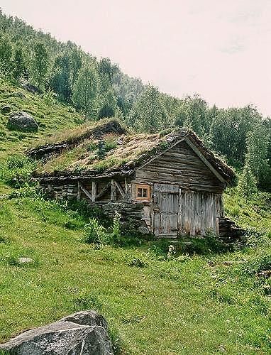 Casa Hobbit, Grass Roof, Forest Cabin, Cottage In The Woods, Earth Homes, Cabins And Cottages, Forest House, Cabin Life, Cabin Homes