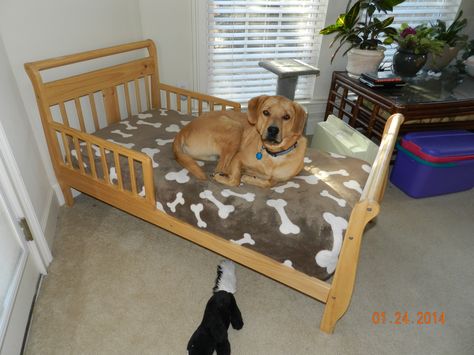 A toddler bed makes a nice comfortable bed for a large dog!  Look for them at thrift stores or garage sales.  Made a cover for the mattress out of a dog blanket.  Just added some elastic around the corners to make it fit.  If you have room in your bedroom, the dog will never want to sleep in the bed with you again!  It's high enough where he can see you. Dog Bedrooms, Diy Dog Blankets, Crib Mattress Dog Bed, Dog Beds Homemade, Wooden Pet Bed, Dog Bed Frame, Dog Bedroom, Mattress Dog Bed, Designer Dog Beds