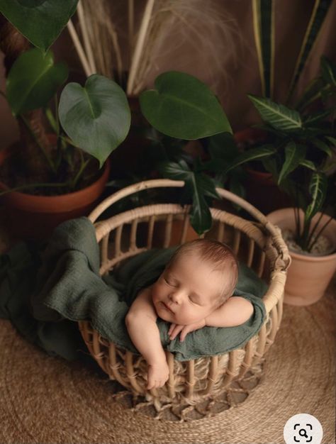 Infant Photoshoot Poses, Diy Photo Props Newborn, March Newborn Pictures, Newborn In Basket Photography, Boho Newborn Photoshoot, Newborn Photoshoot Boy, Diy Newborn Photography Props, Diy Newborn Photography, Baby Boy Newborn Pictures