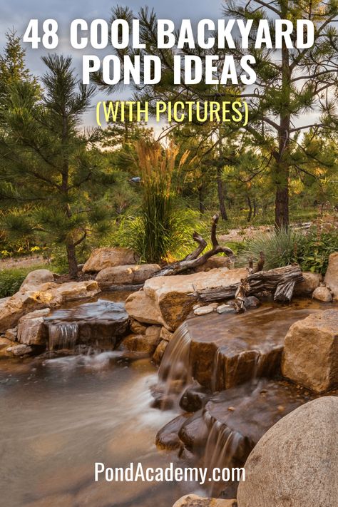 Large Garden Pond Ideas, Landscape Around Pond Ideas, Large Pond Waterfall Ideas, Landscape Pond Ideas, Nature Pond Ideas, Recreational Pond Ideas, How To Build A Small Pond, Natural Pond Landscaping Ideas, Farm Pond Landscaping Country Life