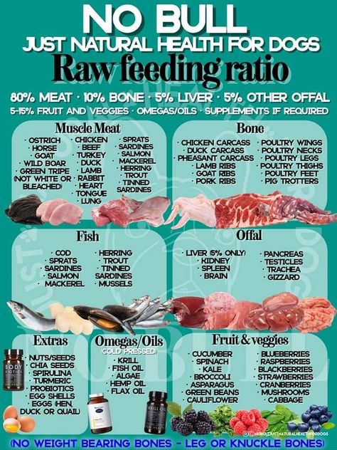 Raw Dog Feeding, Printable List Of Toxic Foods For Dogs, Meal Prep For Dog Food, Half Kibble Half Raw Diet For Dogs, Raw Fed Dogs Diet, Raw Puppy Food Recipes, Dog Raw Food Diet For Beginners, Raw Dog Food Recipes For Beginners, Cooked Dog Food Recipes