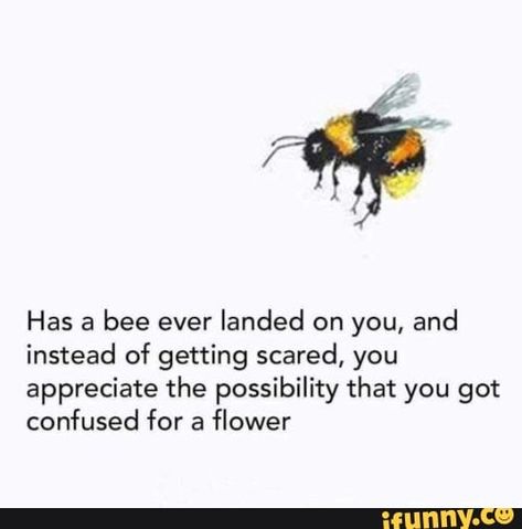 Has a bee ever landed on you, and instead of getting scared, you appreciate the possibility that you got confused for a flower – popular memes on the site iFunny.co #beemovie #movies #has #bee #ever #landed #instead #getting #scared #appreciate #possibility #got #confused #flower #pic Inspirerende Ord, Hozier, Intp, What’s Going On, Happy Thoughts, A Quote, Instagram Foto, Pretty Words, Beautiful Quotes