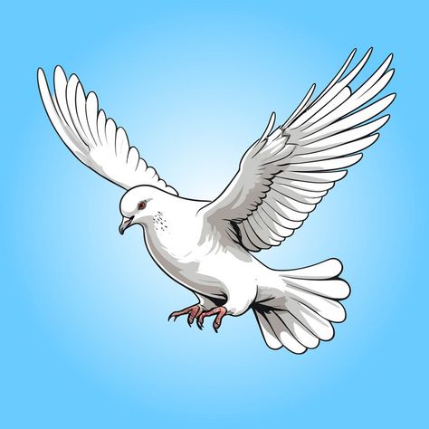 Pegion Bird Flying, Dove Freedom, Pigeon Flying, Flying Pigeon, Flying Dove, Dove Flying, Dove Images, Bird Png, White Pigeon