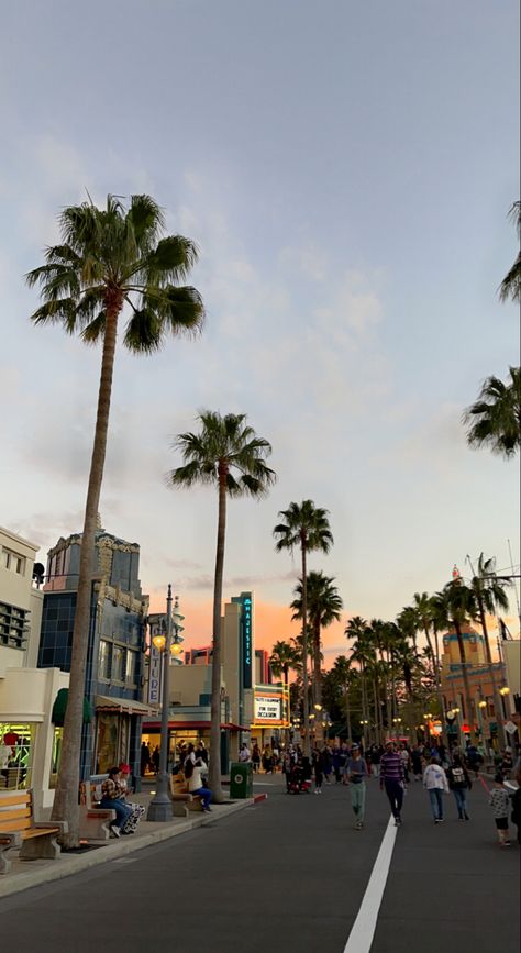 sunset, palm trees, disney world, hollywood studios Hollywood Studios Disney Aesthetic, Orlando Florida Disney World, Universal Studios Florida Aesthetic, Orlando Florida Aesthetic Disney, Disney Vacation Aesthetic, Disney In The Summer, Hollywood Studios Florida, Disneyland Orlando Florida, Disney Florida Aesthetic