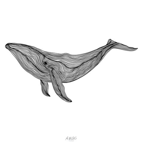 Whale Line Drawing, Whale Line Art, Ocean Line Art, Line Art Ocean, Whale Outline, 3d Pen Stencils, Tattoo Lounge, Orca Tattoo, Etching Tattoo