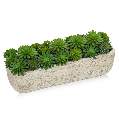 PRICES MAY VARY. ARTIFICIAL SUCCULENT POTTED: Add some life to your personal space with this beautiful succulent arrangement. With lush, natural greens and unique, shabby chic textured rectangular planter, these plants are perfect for any surface in your home. PREMIUM QUALITY - Crafted with high quality materials, these artificial succulent plants feature a lifelike texture with vibrant color and detail that look like real plants. Your friends and family won't know it's easy to care for faux pla Home Office Farmhouse, Artificial Succulent Arrangements, Office Farmhouse, Farmhouse Desk, Rectangular Planters, Plants Succulents, Cement Pots, Desk Decoration, Plants Indoor