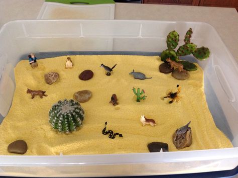 Desert small world, corn meal with fake cacti, rocks, and Toob plastic toys Classroom Attendance Chart, Biomes Project, Classroom Attendance, Attendance Chart, Corn Meal, Deserts Of The World, Montessori Homeschool, Montessori Ideas, Sensory Table