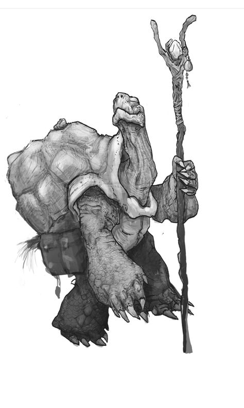 Turtle Character Design, Gothic Fantasy Art, Dungeons And Dragons Characters, Dnd Art, Creature Concept Art, Animation Design, Illustration Character Design, Character Creation, Dnd Characters