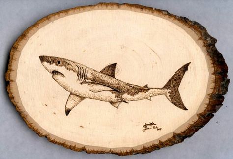 Cool Shark Wood Burning, Pyrography Designs, Wood Burning Patterns Stencil, Wood Burning Stencils, Wood Burning Techniques, Shark Drawing, Wood Transfer, Driftwood Art Diy, Pyrography Patterns