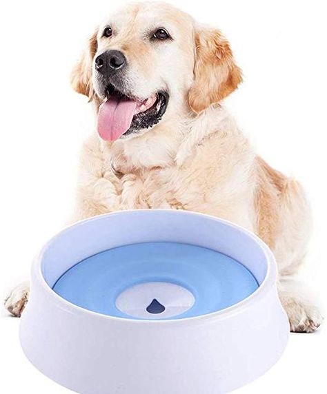 Amazon.com: water hole dog bowl Dog Water Bowls, Dog Bowl, Water Bowl, Dog Bowls, Camping, Bowl, Dogs, Water