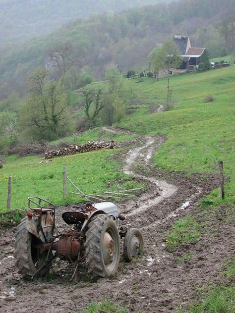 Farmer's ride Ford 8n, Farm Work, Ferguson Tractor, Road Work, Old Tractor, Classic Tractor, Go Karts, Old Farm Equipment, Country Roads Take Me Home