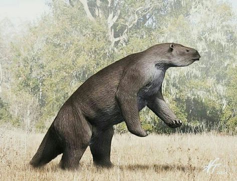 Megatherium Giant Ground Sloth, Georges Cuvier, Irish Elk, Giant Sloth, Ground Sloth, Wooly Mammoth, Paleo Art, Extinct Animals, America Art