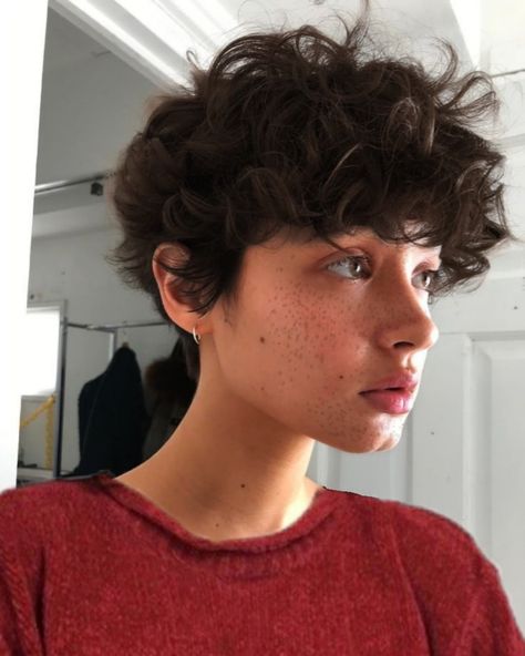 Androgynous Hairstyles, Non Binary Haircuts, Androgynous Haircut, Androgynous Hair, Short Curly Haircuts, Shot Hair Styles, Fluffy Hair, Short Hair Haircuts, Cut My Hair