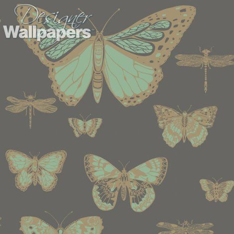 Buy Cole and Son Butterflies & Dragonflies - Free Delivery to USA | Designer Wallpapers ™ Dragonfly Wallpaper, Butterflies And Dragonflies, Butterfly Dragon, Charcoal Wallpaper, Cole And Son Wallpaper, Feature Wallpaper, Wallpaper Rolls, Wallpaper Direct, Wallpaper Online