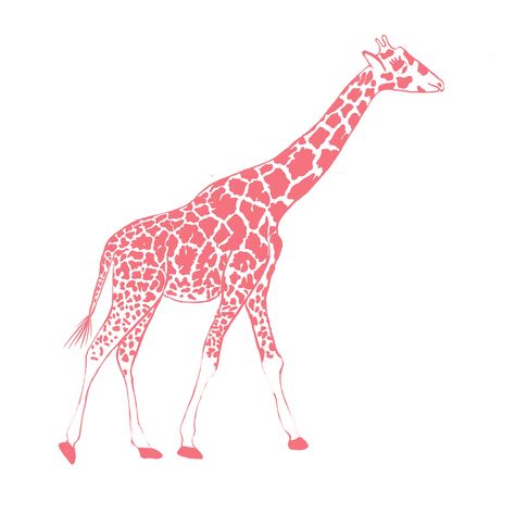 I love this colour.  I don't know the name but it is 95% Froly or 80% Brink Pink.  A Giraffe Rendition. Giraffe Painting, Pink Giraffe, A Giraffe, Giraffes, Love This, How To Draw Hands, I Love, Drawings, Wall Art