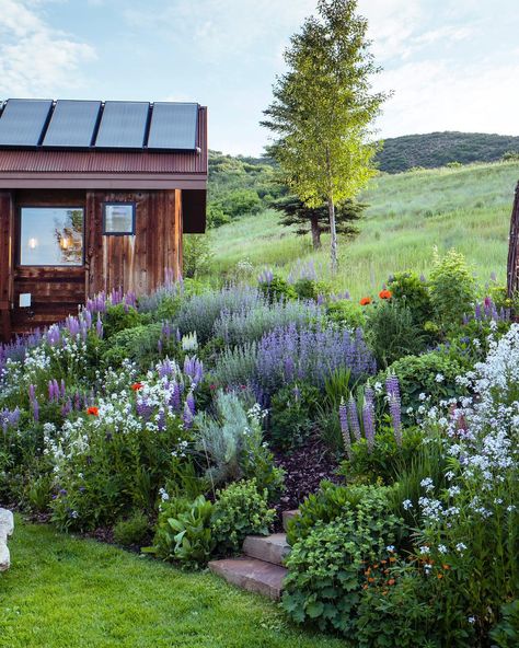 3,216 Likes, 28 Comments - Sunset (@sunsetmag) on Instagram: “One last look at @isacattostudio's magical Rocky Mountain garden. Pictured here: the delphiniums,…” Mountain Garden, Sloped Garden, Have Inspiration, Home Landscaping, Farm Gardens, Front Garden, Backyard Landscaping Designs, Backyard Design, Rocky Mountain