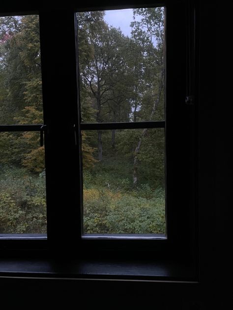 Forest View From Window, Window View Nature, Window Greenery, Forest Window, Storyboard Inspiration, Calm Place, Forest Room, Dark Rooms, Window Views