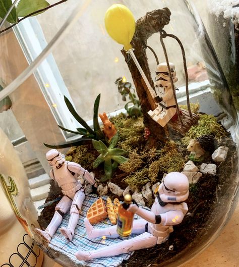 #starwars #stormtrooper #terrarium #succulents Diy Starwars Gift, Starwars Terrarium, Geek Terrarium, Nerd Terrarium, Lego Terrarium, Star Wars Terrarium, Diy Pool Toys, Homemade Sand, Terrarium Bar