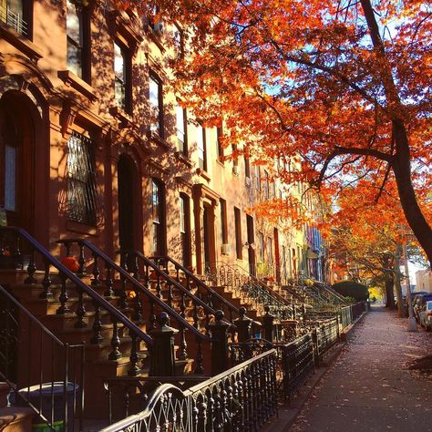 Carroll Gardens Brooklyn, Brooklyn Newyork, Classic Building, New York Fall, Fall Color, City Aesthetic, Land Scape, Happy Friday, Fall Colors